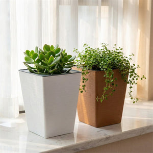 Duo de jardinières blanc et marron avec plantes succulentes sur rebord de fenêtre lumineux
