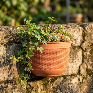 Pot de fleur mural terracotta avec lierre et plantes succulentes sur mur en pierre