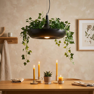 Suspension jardinière avec lierre dans une salle à manger nordique