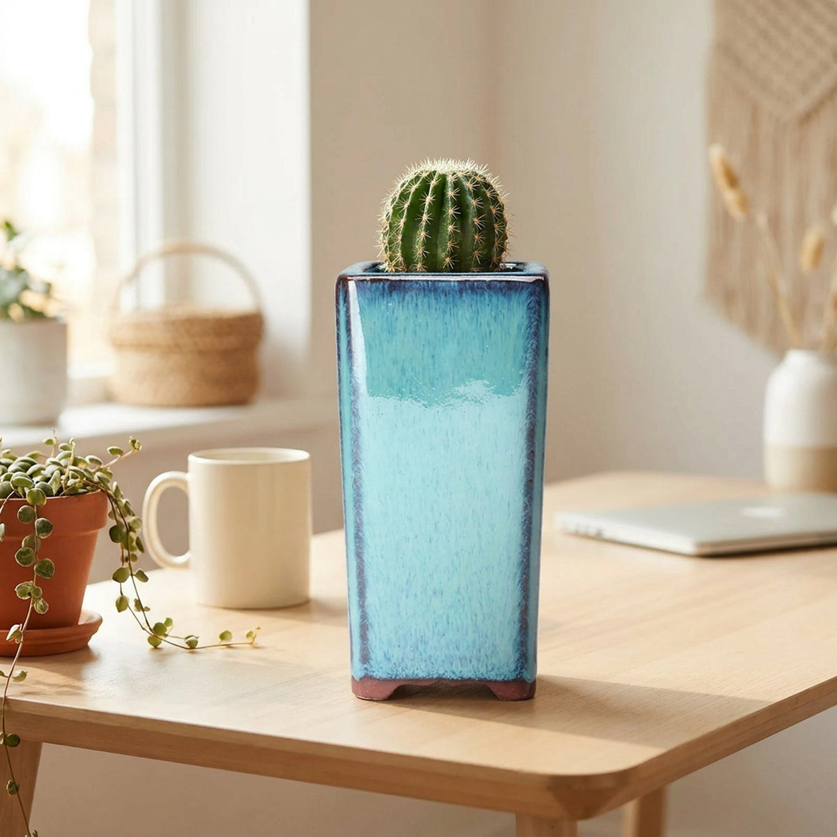 Pot turquoise carré avec un cactus sur un bureau en bois clair et une tasse