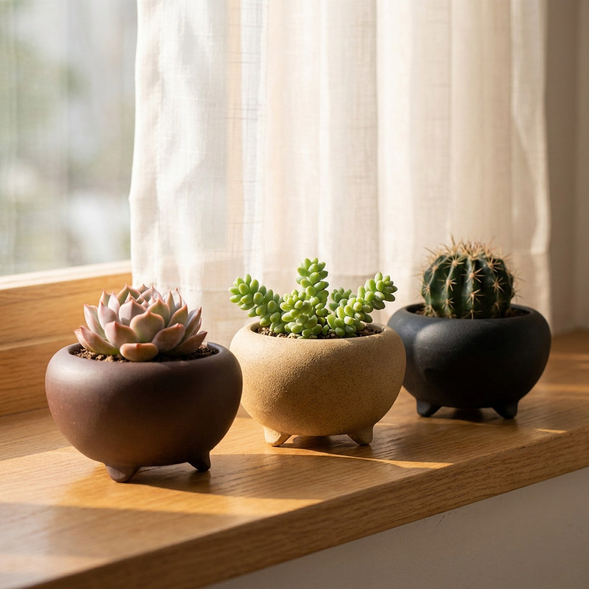 Collection mini pots bonsaï tripodes en grès rouge sur rebord de fenêtre
