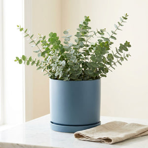 Pot de fleurs en céramique bleu ardoise avec eucalyptus sur marbre