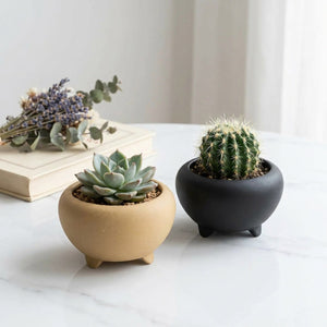 Mini pots bonsaï tripodes beige et noir sur marbre blanc