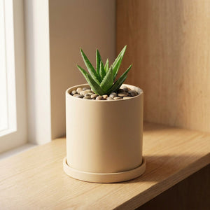 Pot de fleurs cylindrique en céramique beige style nordique avec succulent sur rebord de fenêtre