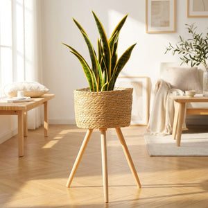 Cache-pot en bois tressé sur pieds avec plante verte dans un salon lumineux style méditerranéen