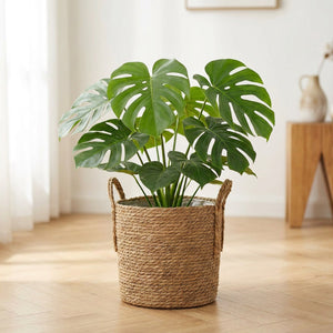 Panier cache-pot en paille tressée style nordique avec plante