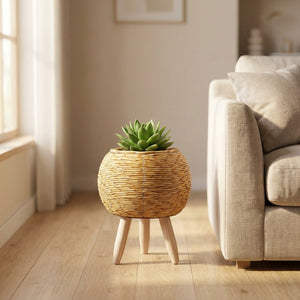 Cache-pot rond sur pied en rotin naturel clair avec plante verte dans un salon chaleureux