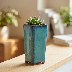 Pot de fleurs carré en céramique émaillée turquoise avec une plante verte sur une étagère lumineuse