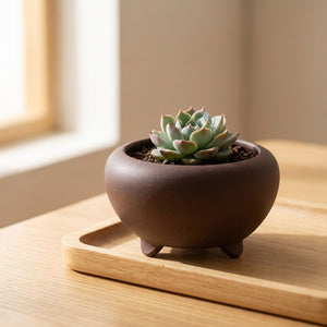 Mini pot bonsaï tripode en grès rouge avec succulent sur rebord de fenêtre