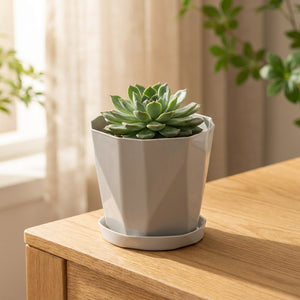 Cache-pot gris à facettes géométriques avec sa soucoupe et une plante succulente sur un meuble en bois