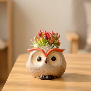 Mini pot hibou céramique modèle Chapeau avec succulente