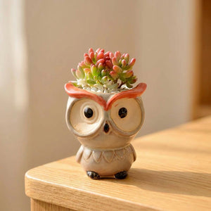 Mini pot hibou céramique modèle Cornes avec succulente