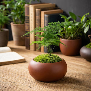 Pot en argile rétro style chinois pour orchidées et plantes bureau