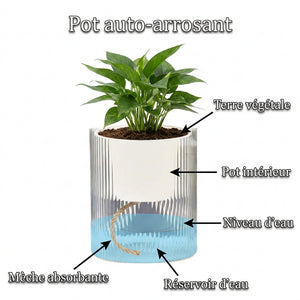 Schéma fonctionnement pot auto-arrosant mèche absorbante réservoir eau