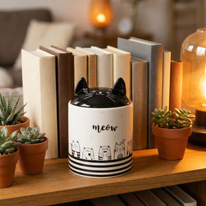 Pot céramique oreilles de chat sur étagère entre plantes en pot terracotta