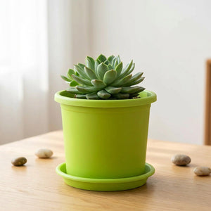 Pot de fleurs cylindrique avec succulent sur table bois intérieur