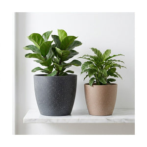 Cache-pots givrés avec plantes vertes sur étagère moderne
