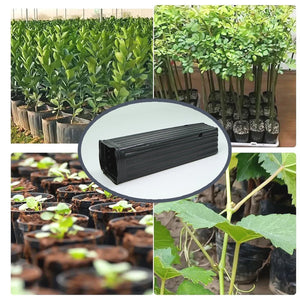 Pots de pépinière noirs utilisés en culture de plants de légumes et arbustes