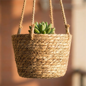 Détail du tressage jute naturel du pot suspendu avec succulente