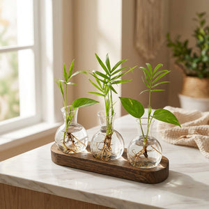 Station de bouturage de trois vases en verre sur plateau en bois