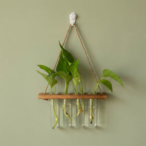Vase mural un étage en bois foncé avec quatre tubes en verre et boutures