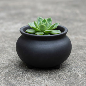 Jarre céramique noire mat avec succulente sur béton gris