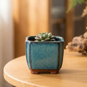 Pot à bonsaï carré en céramique émaillée turquoise avec une plante