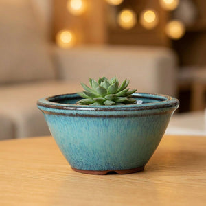 Pot à bonsaï évasé en céramique émaillée turquoise avec une succulente