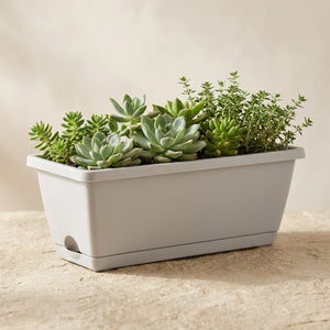 Jardinière rectangulaire gris clair avec succulentes sur surface naturelle