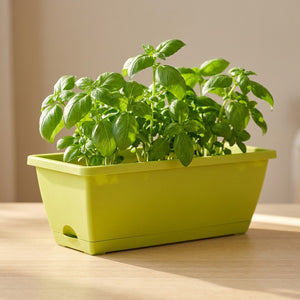 Jardinière rectangulaire vert lime avec basilic sur plan en bois naturel
