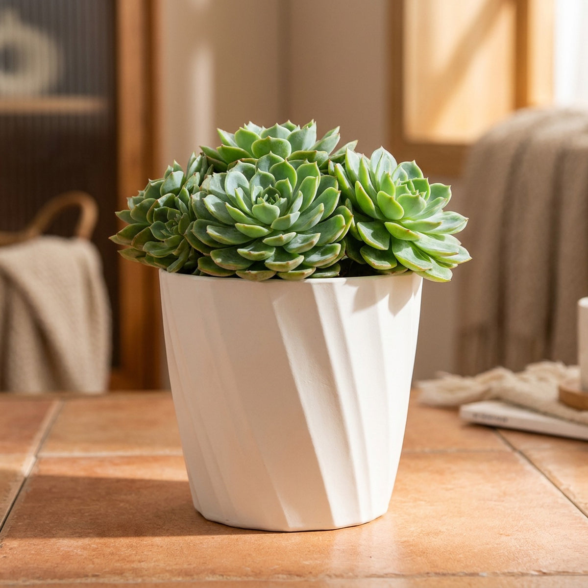 Cache-pot décoratif blanc nervuré avec plante succulente dans intérieur chaleureux