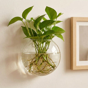 Vase mural en verre avec plante pothos et cadre bois naturel