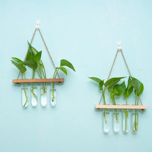 Deux vases muraux en bois clair et bois foncé garnis de plantes vertes sur un mur