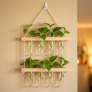 Vase mural en verre avec tubes transparents et support en bois clair garni de plantes vertes accroché à un mur clair