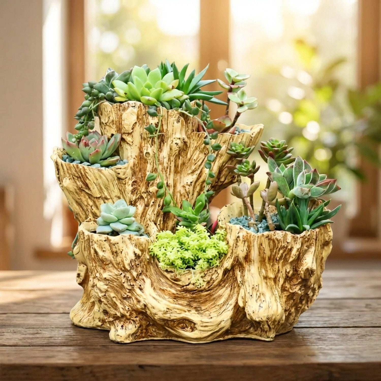 Pot de fleurs succulentes en résine effet tronc d'arbre tan garni de plantes grasses près d'une fenêtre