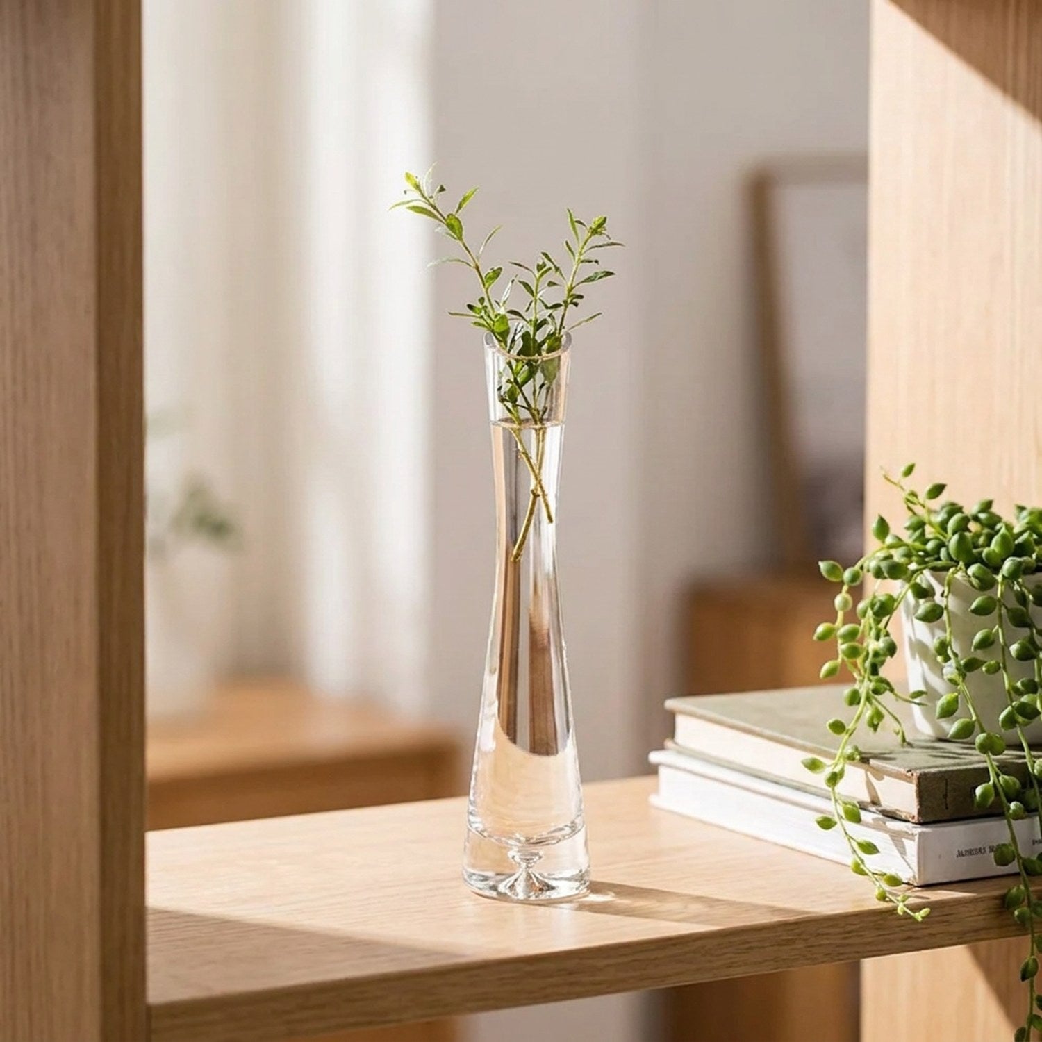 Vase soliflore en verre sur une étagère en bois avec des livres et une plante