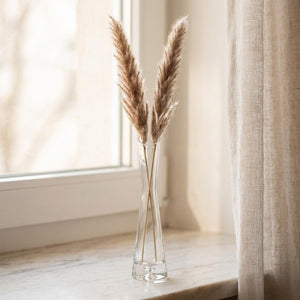 Vase soliflore en verre avec des herbes de la pampa près d'une fenêtre