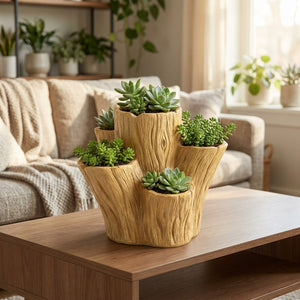 Pot succulentes tronc d'arbre sur une table basse dans un salon chaleureux