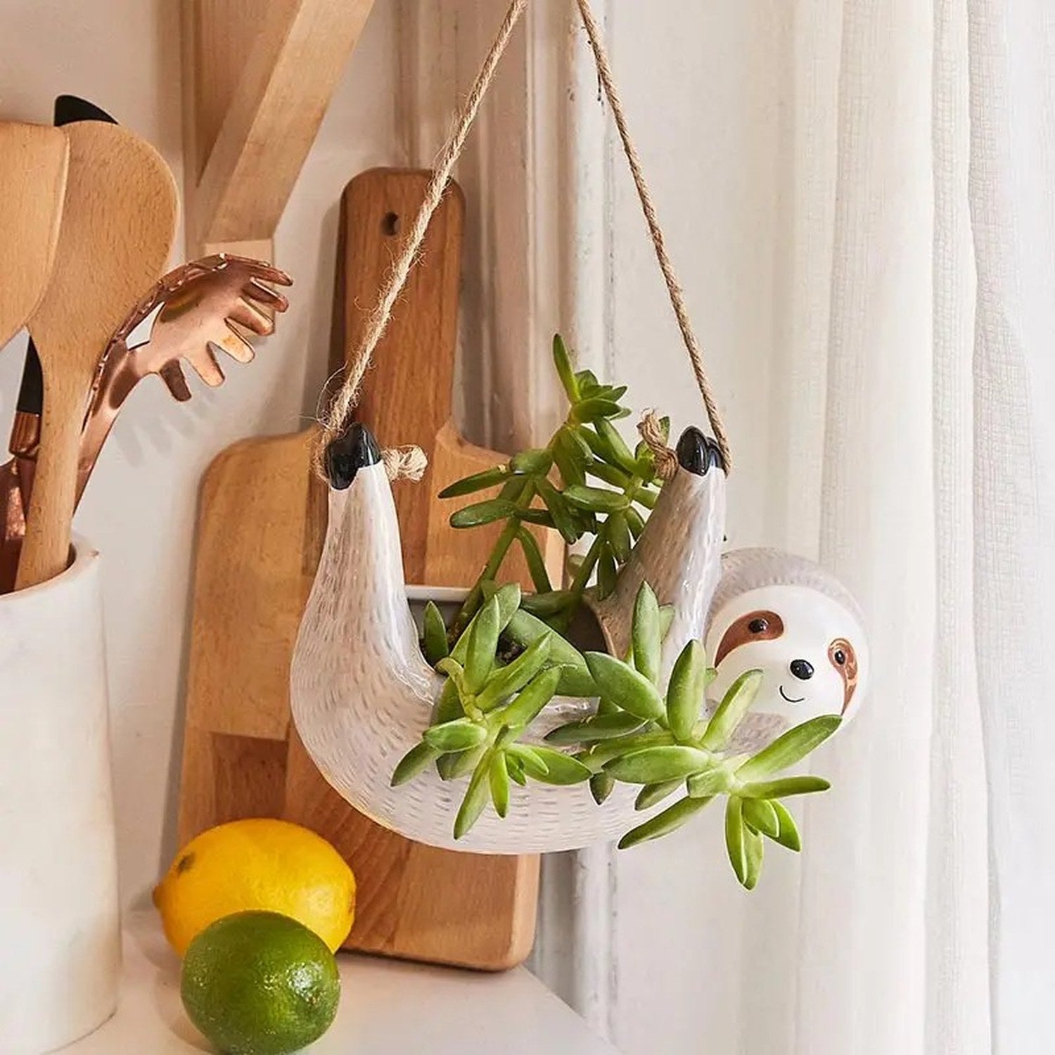 Cache-pot suspendu paresseux blanc dans cuisine lumineuse