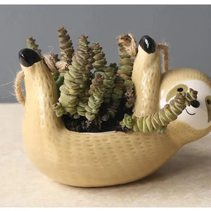 Pot paresseux jaune rempli succulentes sur fond gris
