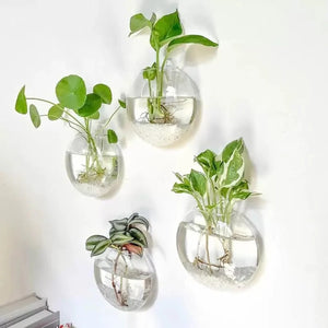 Vase mural en verre transparent demi-sphère