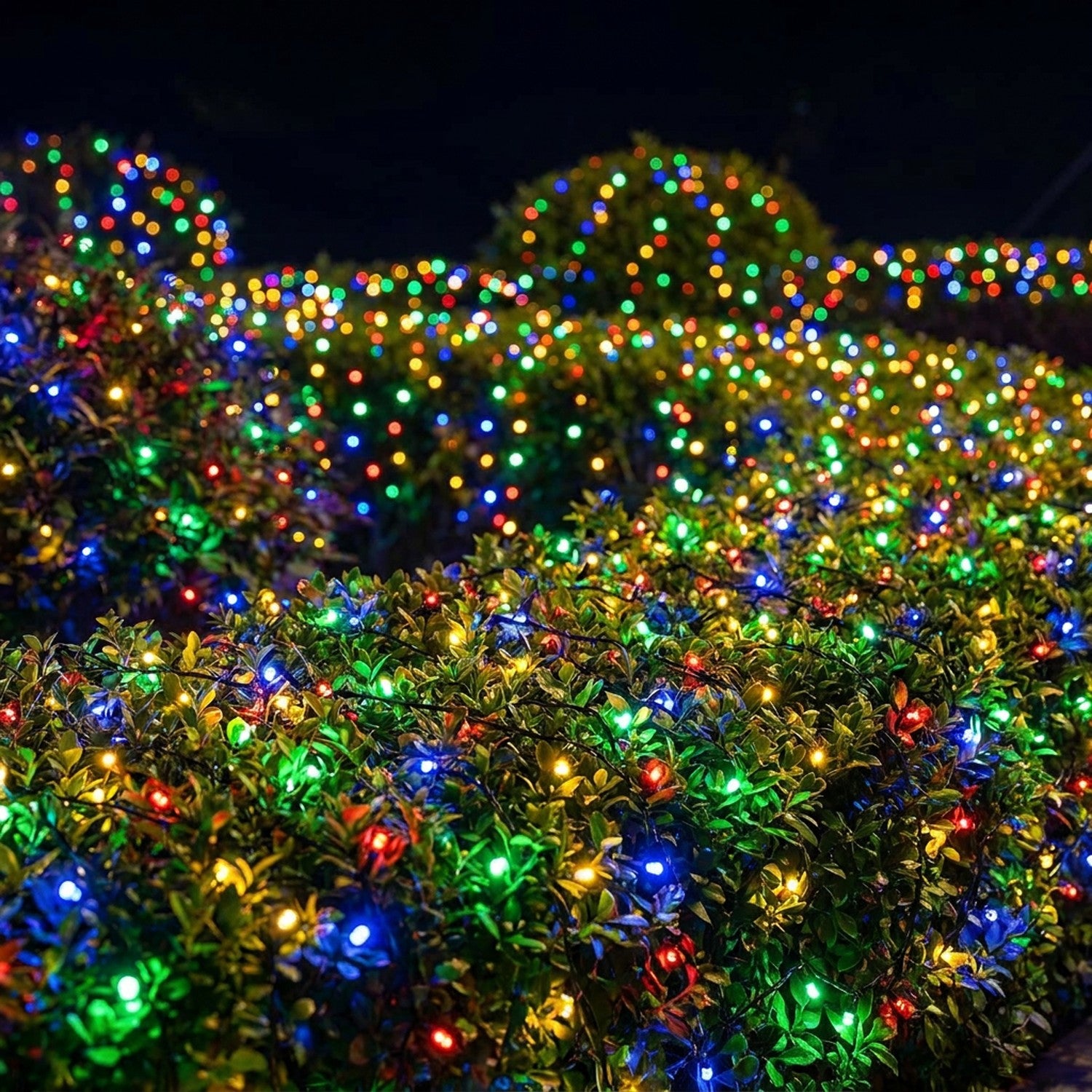 Guirlande LED multicolore illuminant des haies de jardin la nuit