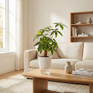 Grand pot auto-arrosage blanc avec arbre intérieur sur table basse salon moderne