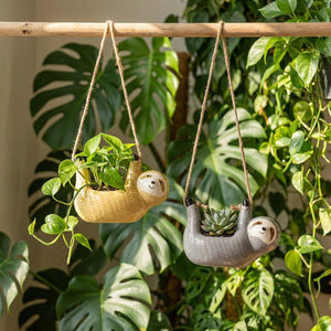 Duo pots suspendus céramique paresseux jaune et gris sur barre bois dans jardin intérieur