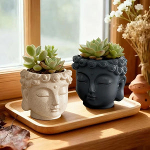 Pot de fleurs bouddha gris anthracite avec succulente verte sur fond extérieur