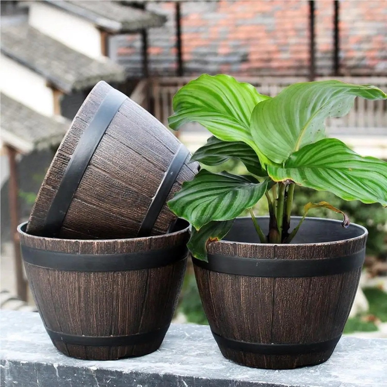 Trois pots de fleur tonneau résine imitation bois dans jardin tropical