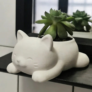 Pot de fleurs chat blanc couché avec succulente sur étagère noire