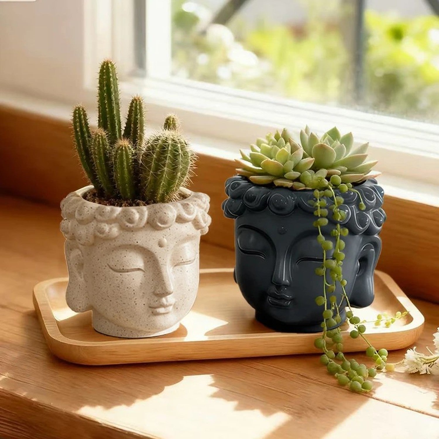 Pot de fleurs tête de bouddha beige avec plante succulente dans jardin