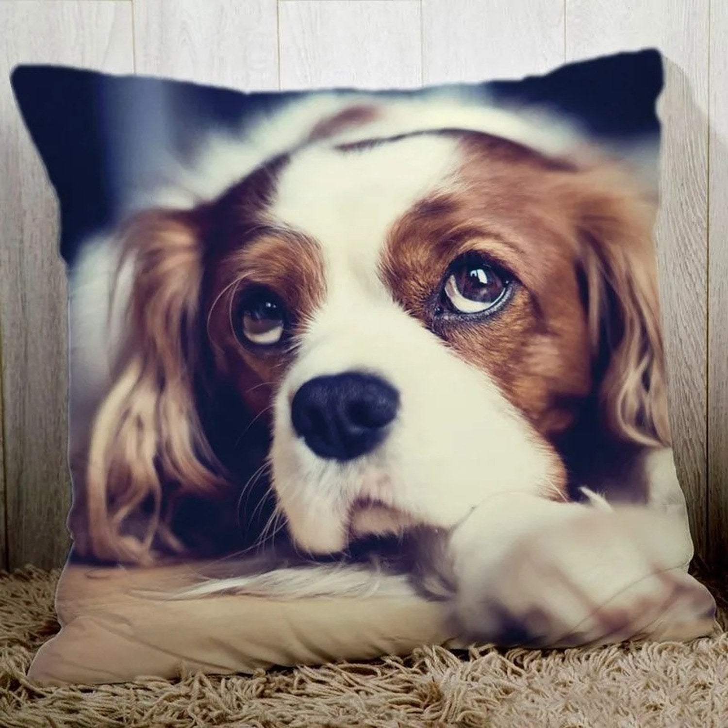 Exemple de photo de chien imprimée sur une housse de coussin personnalisée