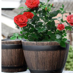 Deux pots de fleur tonneau vintage avec roses rouges en extérieur